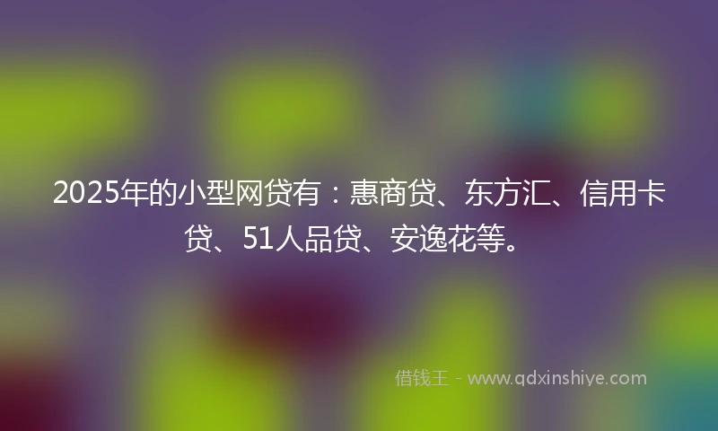2025年的小型网贷有：惠商贷、东方汇、信用卡贷、51人品贷、安逸花等。