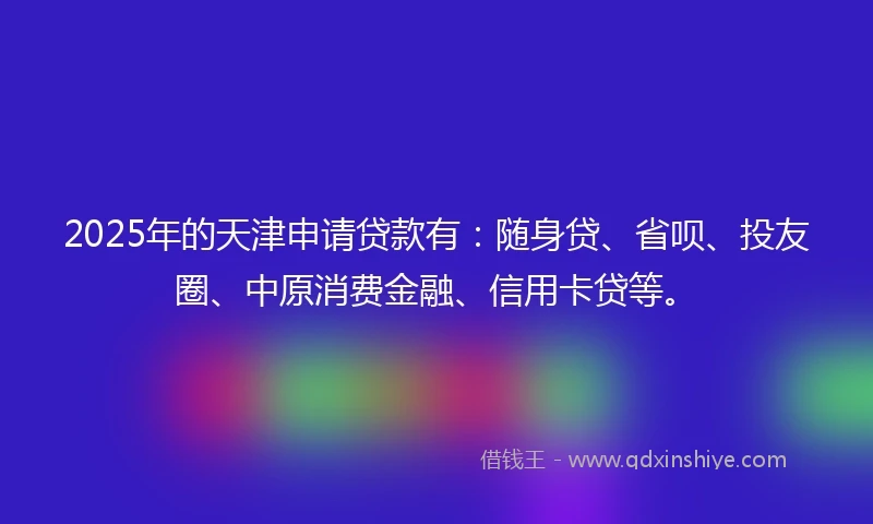 2025年的天津申请贷款有：随身贷、省呗、投友圈、中原消费金融、信用卡贷等。