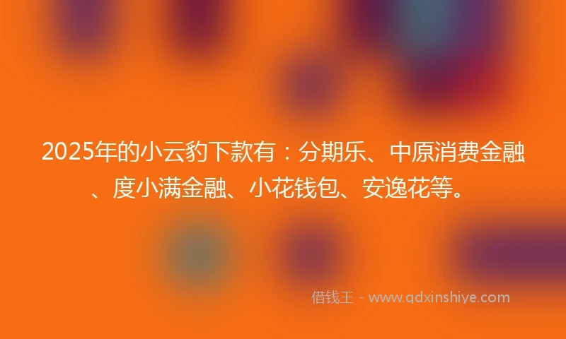 2025年的小云豹下款有：分期乐、中原消费金融、度小满金融、小花钱包、安逸花等。