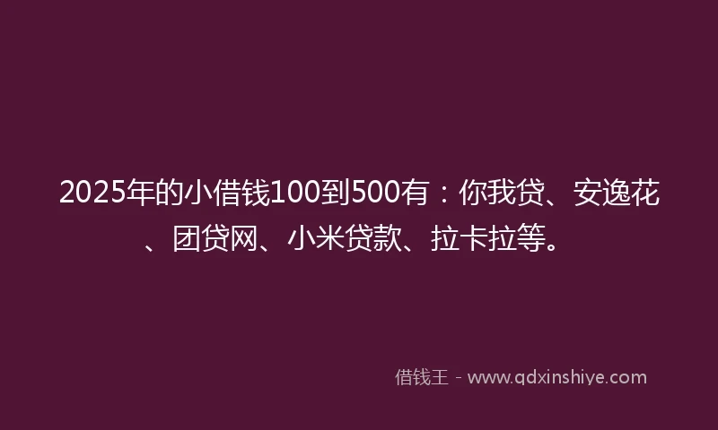 2025年的小借钱100到500有：你我贷、安逸花、团贷网、小米贷款、拉卡拉等。