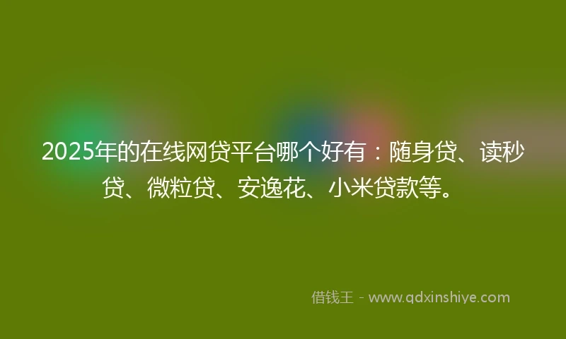 2025年的在线网贷平台哪个好有：随身贷、读秒贷、微粒贷、安逸花、小米贷款等。