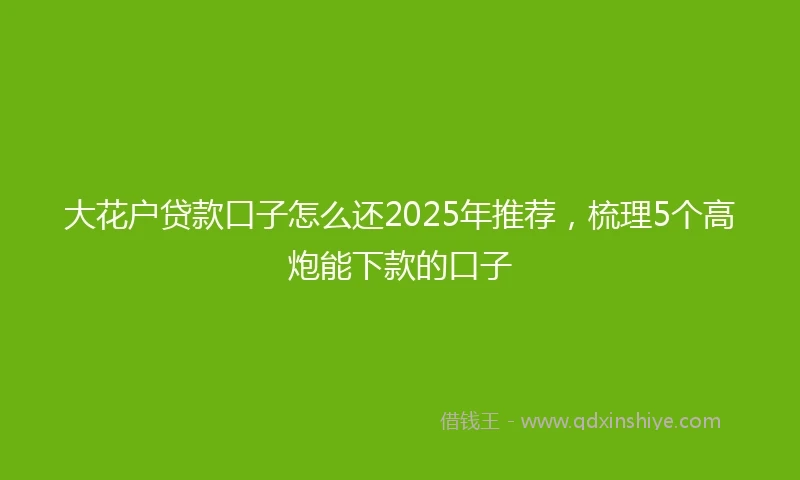 大花户贷款口子怎么还2025年推荐,梳理5个高炮能下款的口子