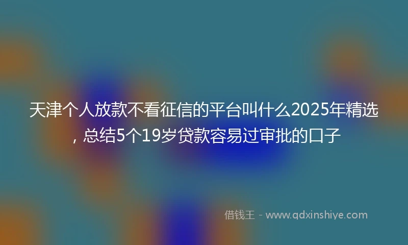 天津个人放款不看征信的平台叫什么2025年精选，总结5个19岁贷款容易过审批的口子