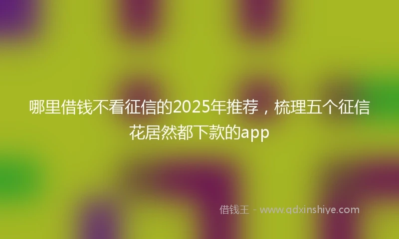 哪里借钱不看征信的2025年推荐，梳理五个征信花居然都下款的app
