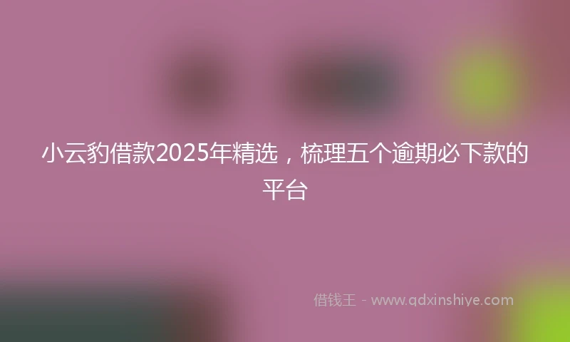 小云豹借款2025年精选，梳理五个逾期必下款的平台