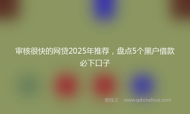 审核很快的网贷2025年推荐,盘点5个黑户借款必下口子