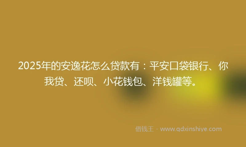 2025年的安逸花怎么贷款有：平安口袋银行、你我贷、还呗、小花钱包、洋钱罐等。