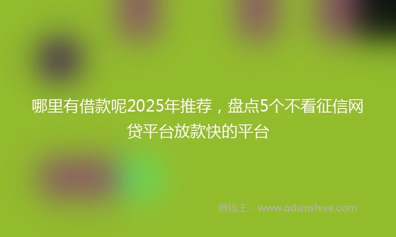 哪里有借款呢2025年推荐，盘点5个不看征信网贷平台放款快的平台
