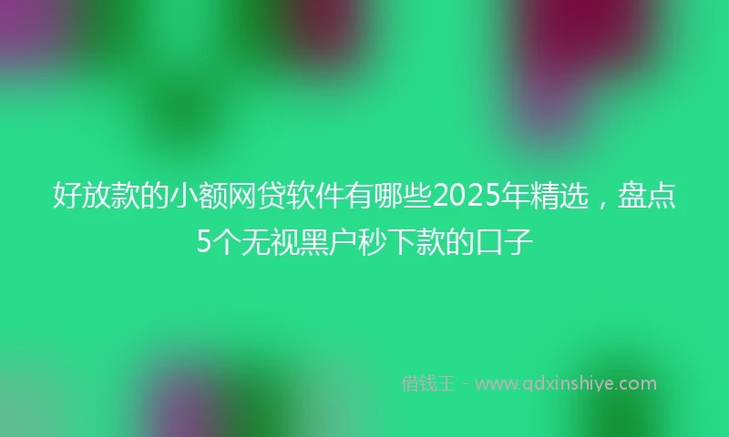 好放款的小额网贷软件有哪些2025年精选，盘点5个无视黑户秒下款的口子