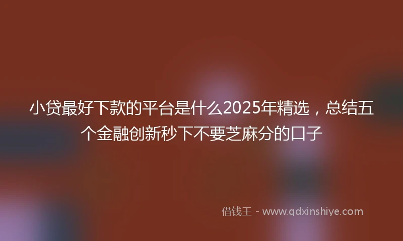 小贷最好下款的平台是什么2025年精选，总结五个金融创新秒下不要芝麻分的口子