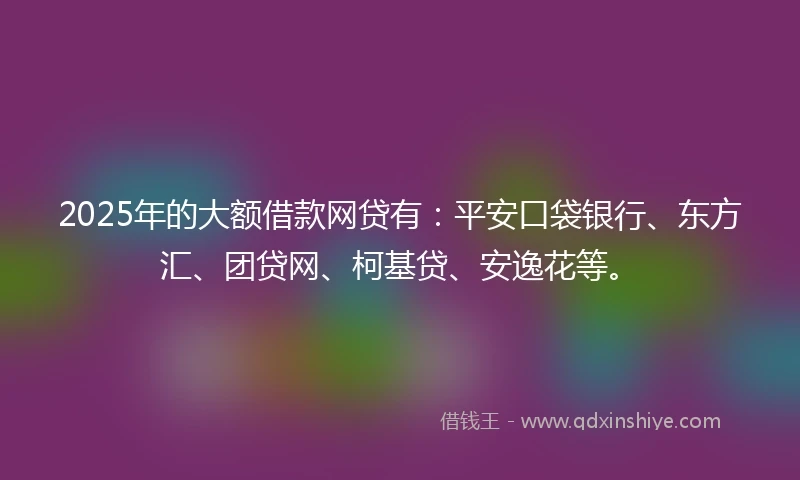 2025年的大额借款网贷有：平安口袋银行、东方汇、团贷网、柯基贷、安逸花等。