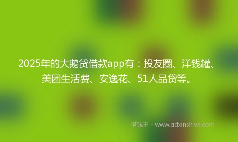 2025年的大鹅贷借款app有：投友圈、洋钱罐、美团生活费、安逸花、51人品贷等。