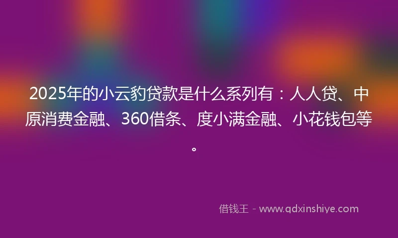 2025年的小云豹贷款是什么系列有：人人贷、中原消费金融、360借条、度小满金融、小花钱包等。