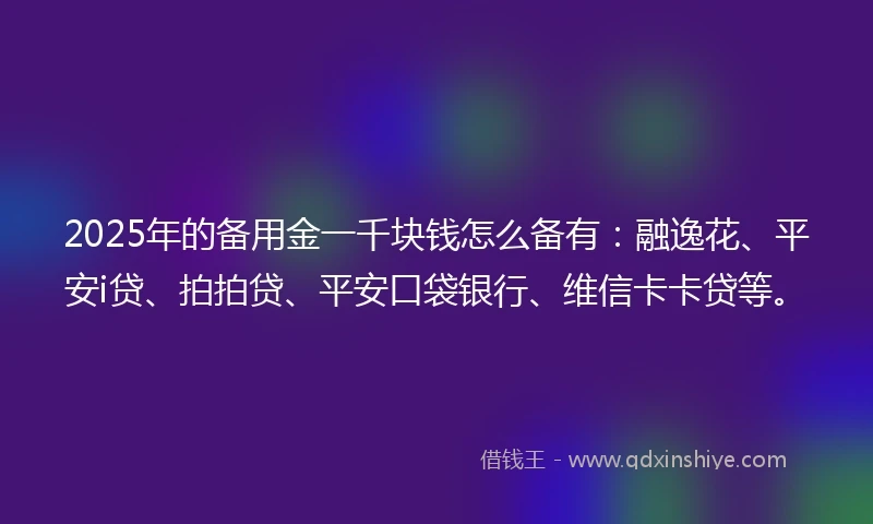 2025年的备用金一千块钱怎么备有：融逸花、平安i贷、拍拍贷、平安口袋银行、维信卡卡贷等。