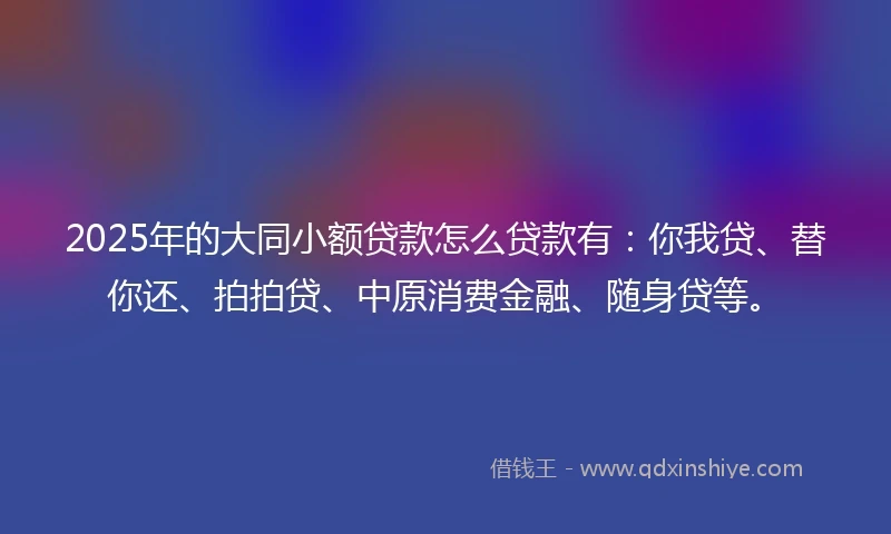 2025年的大同小额贷款怎么贷款有：你我贷、替你还、拍拍贷、中原消费金融、随身贷等。