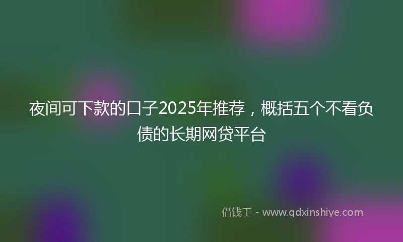 夜间可下款的口子2025年推荐，概括五个不看负债的长期网贷平台