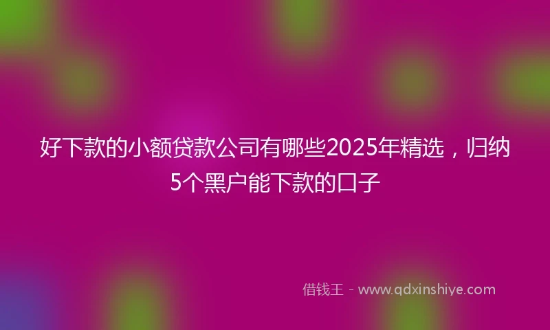 好下款的小额贷款公司有哪些2025年精选，归纳5个黑户能下款的口子
