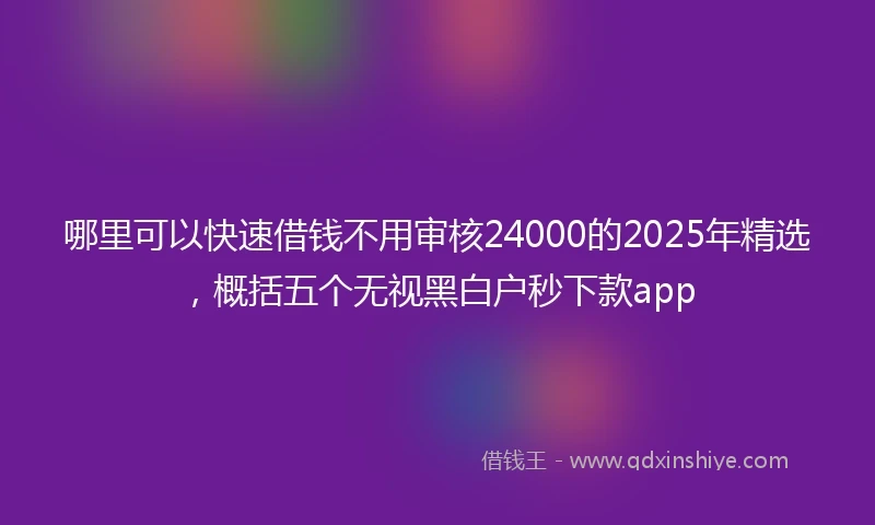 哪里可以快速借钱不用审核24000的2025年精选，概括五个无视黑白户秒下款app