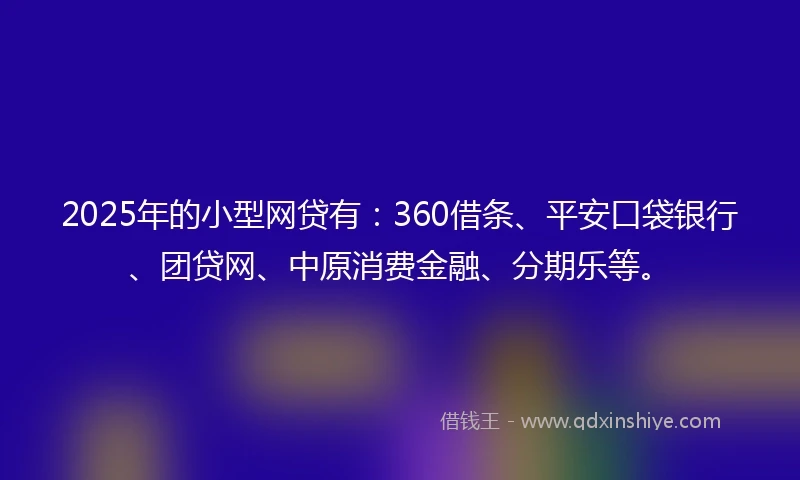 2025年的小型网贷有：360借条、平安口袋银行、团贷网、中原消费金融、分期乐等。