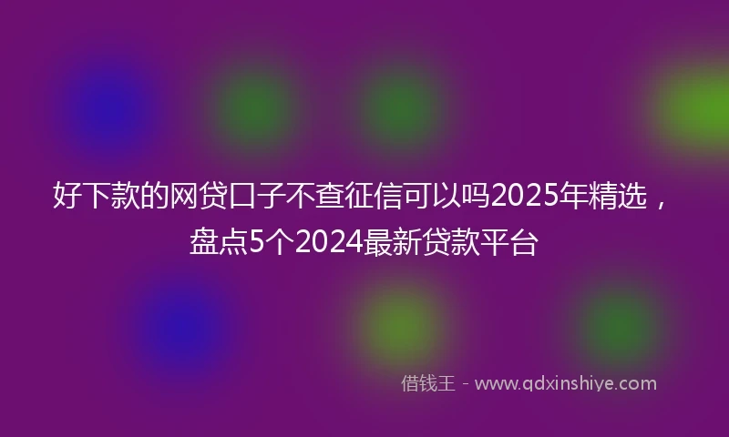 好下款的网贷口子不查征信可以吗2025年精选，盘点5个2024最新贷款平台