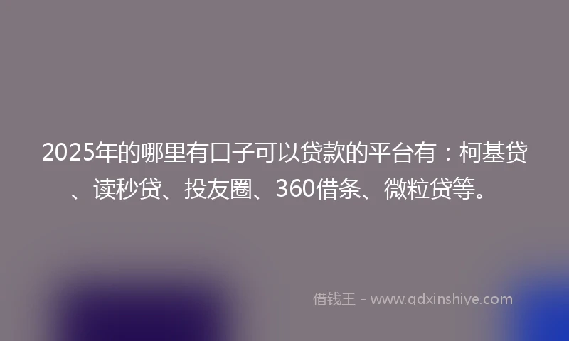 2025年的哪里有口子可以贷款的平台有：柯基贷、读秒贷、投友圈、360借条、微粒贷等。
