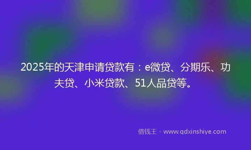 2025年的天津申请贷款有：e微贷、分期乐、功夫贷、小米贷款、51人品贷等。