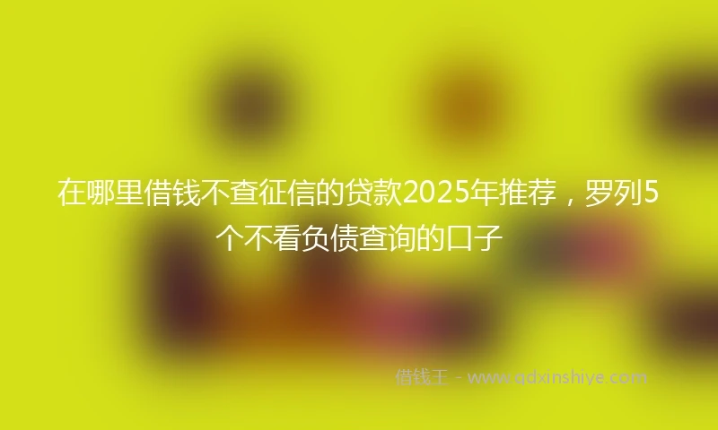 在哪里借钱不查征信的贷款2025年推荐，罗列5个不看负债查询的口子