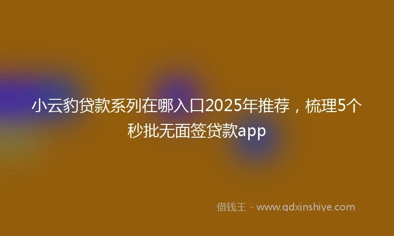 小云豹贷款系列在哪入口2025年推荐，梳理5个秒批无面签贷款app