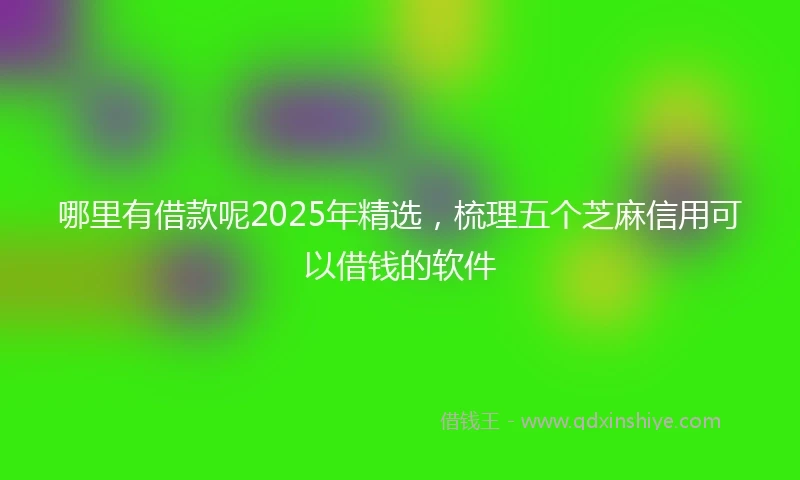 哪里有借款呢2025年精选，梳理五个芝麻信用可以借钱的软件
