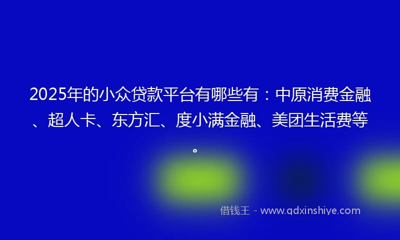 2025年的小众贷款平台有哪些有：中原消费金融、超人卡、东方汇、度小满金融、美团生活费等。