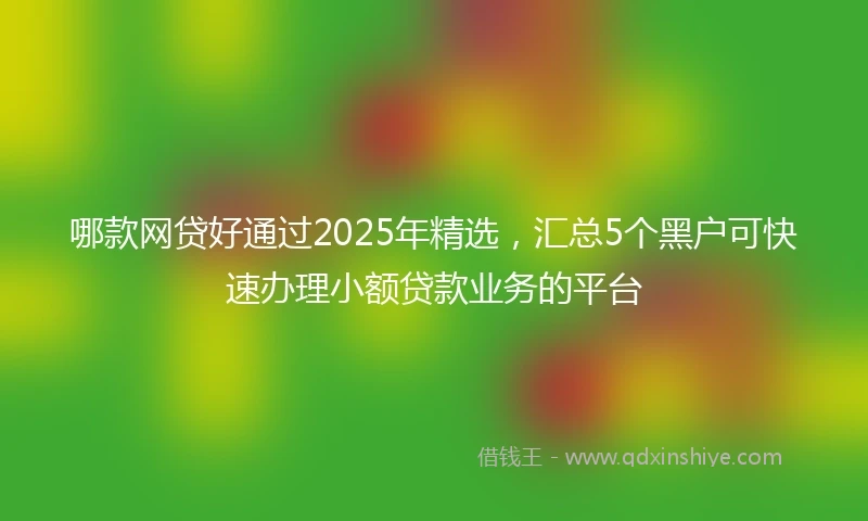 哪款网贷好通过2025年精选，汇总5个黑户可快速办理小额贷款业务的平台