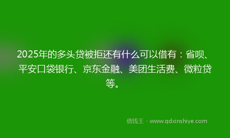2025年的多头贷被拒还有什么可以借有：省呗、平安口袋银行、京东金融、美团生活费、微粒贷等。
