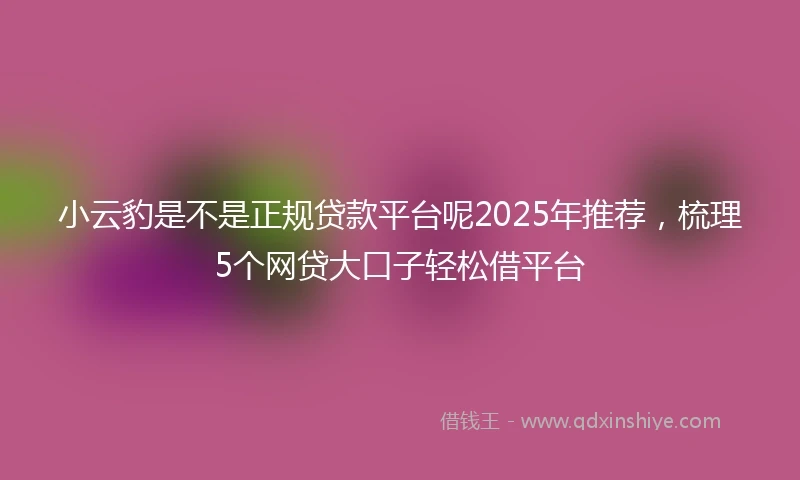 小云豹是不是正规贷款平台呢2025年推荐，梳理5个网贷大口子轻松借平台