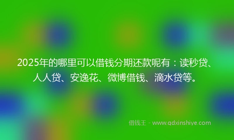 2025年的哪里可以借钱分期还款呢有：读秒贷、人人贷、安逸花、微博借钱、滴水贷等。