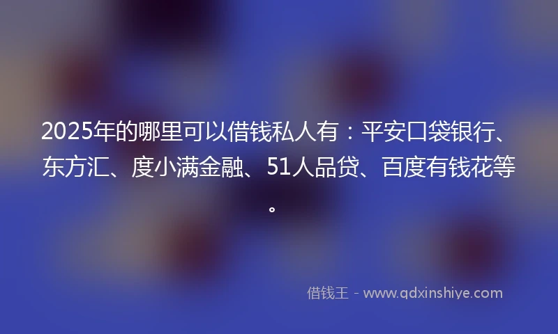 2025年的哪里可以借钱私人有：平安口袋银行、东方汇、度小满金融、51人品贷、百度有钱花等。