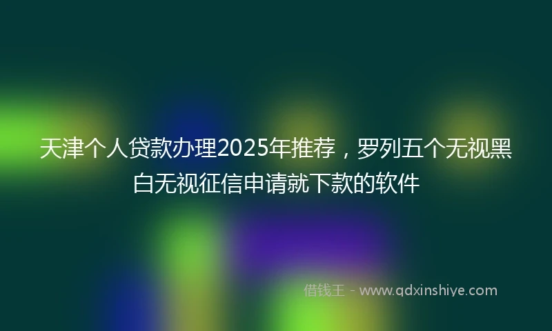 天津个人贷款办理2025年推荐，罗列五个无视黑白无视征信申请就下款的软件