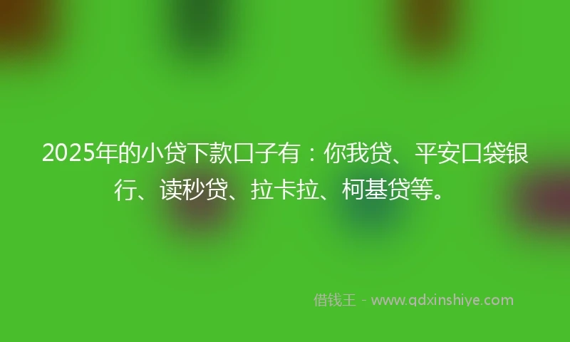 2025年的小贷下款口子有：你我贷、平安口袋银行、读秒贷、拉卡拉、柯基贷等。