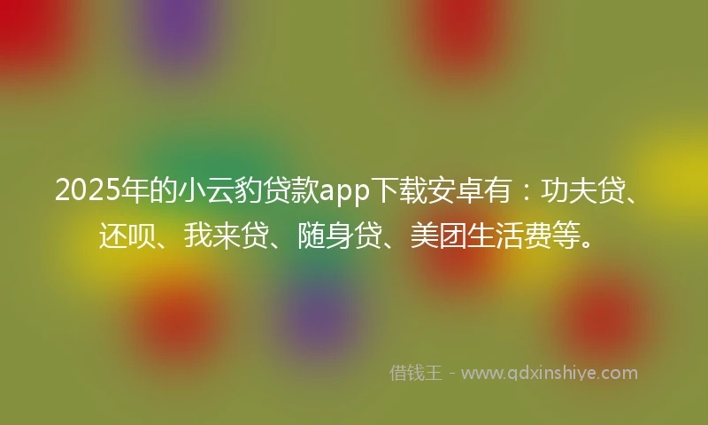 2025年的小云豹贷款app下载安卓有：功夫贷、还呗、我来贷、随身贷、美团生活费等。