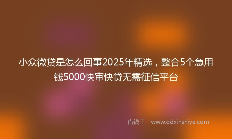 小众微贷是怎么回事2025年精选，整合5个急用钱5000快审快贷无需征信平台