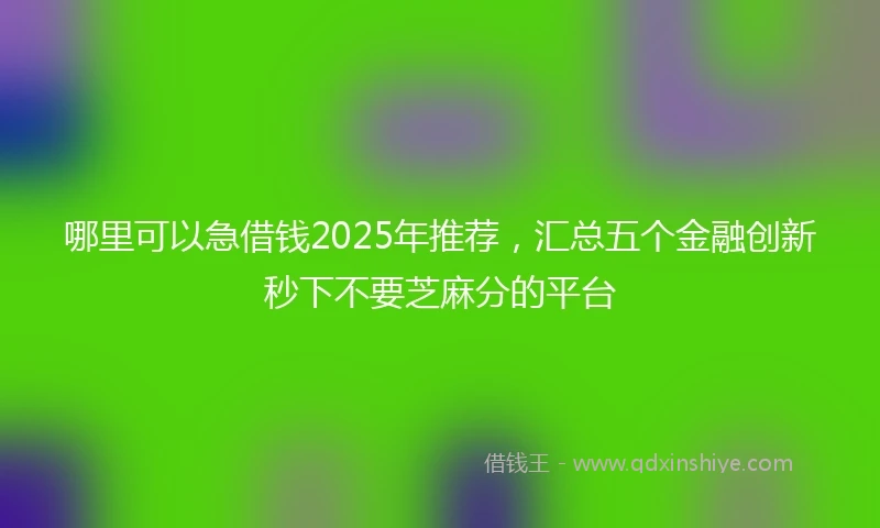 哪里可以急借钱2025年推荐，汇总五个金融创新秒下不要芝麻分的平台