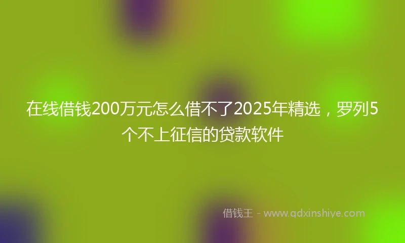 在线借钱200万元怎么借不了2025年精选，罗列5个不上征信的贷款软件