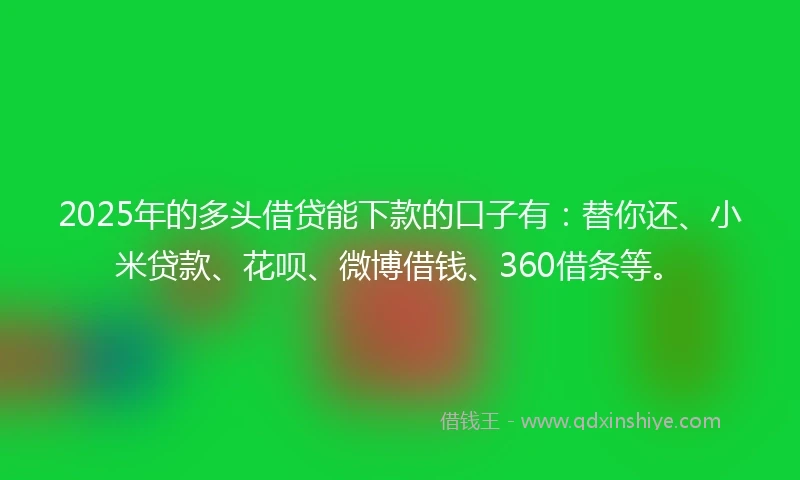2025年的多头借贷能下款的口子有：替你还、小米贷款、花呗、微博借钱、360借条等。