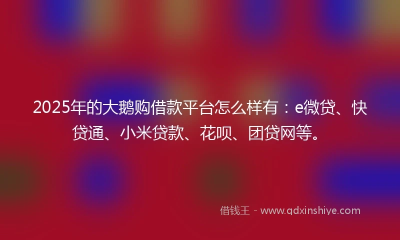 2025年的大鹅购借款平台怎么样有：e微贷、快贷通、小米贷款、花呗、团贷网等。