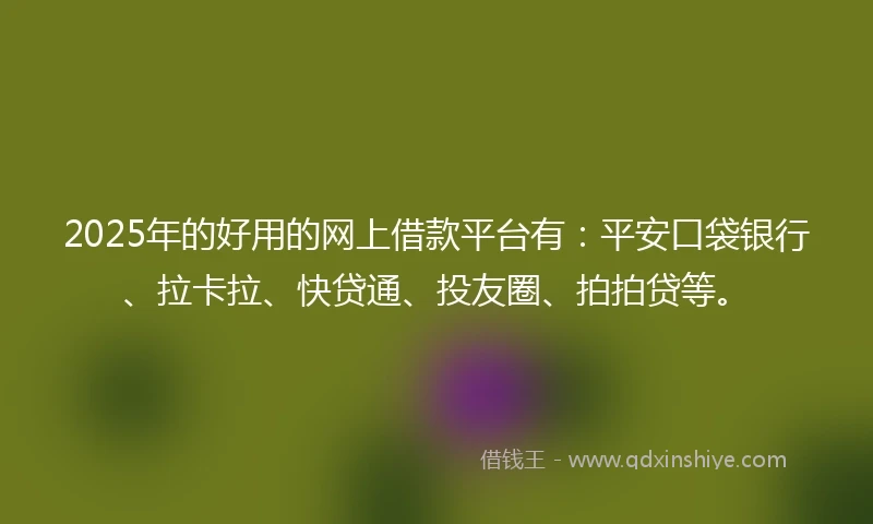 2025年的好用的网上借款平台有：平安口袋银行、拉卡拉、快贷通、投友圈、拍拍贷等。