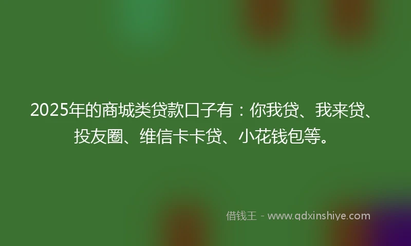 2025年的商城类贷款口子有：你我贷、我来贷、投友圈、维信卡卡贷、小花钱包等。