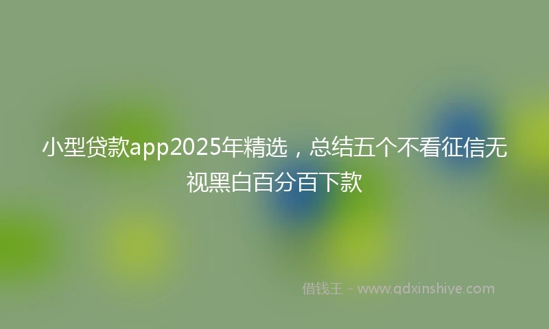 小型贷款app2025年精选，总结五个不看征信无视黑白百分百下款