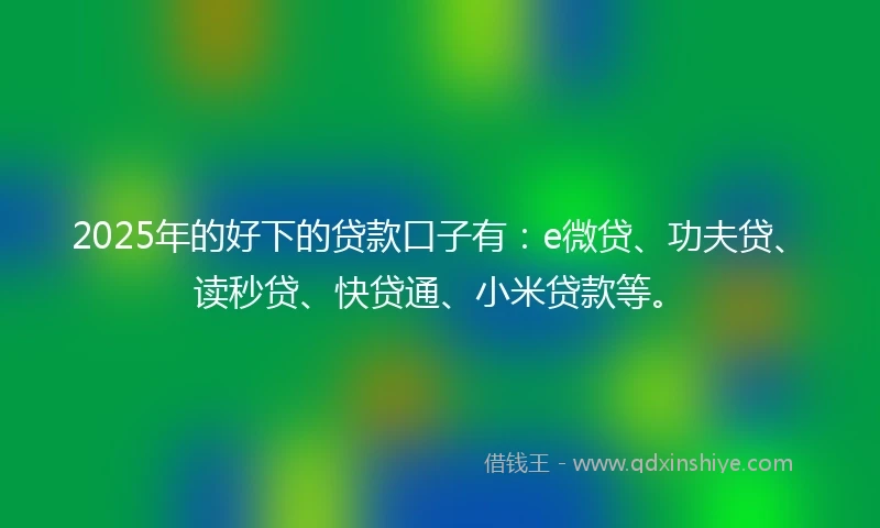 2025年的好下的贷款口子有：e微贷、功夫贷、读秒贷、快贷通、小米贷款等。