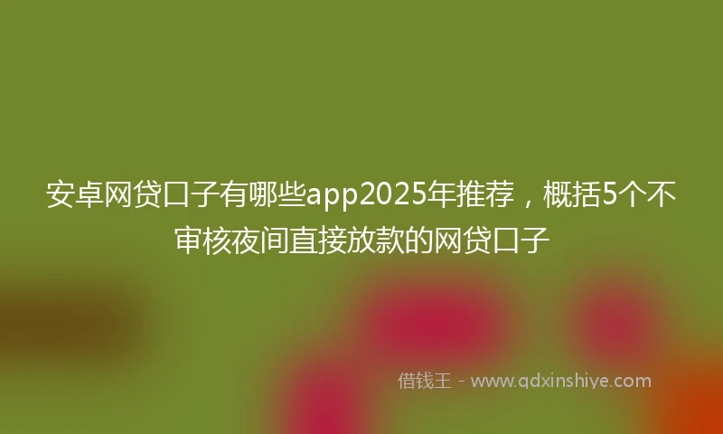安卓网贷口子有哪些app2025年推荐，概括5个不审核夜间直接放款的网贷口子