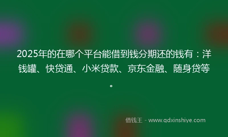 2025年的在哪个平台能借到钱分期还的钱有：洋钱罐、快贷通、小米贷款、京东金融、随身贷等。