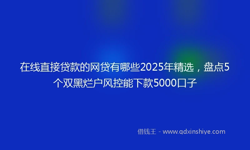 在线直接贷款的网贷有哪些2025年精选，盘点5个双黑烂户风控能下款5000口子